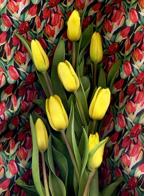 Yellow Tulips on Printed Silk, 2022